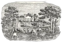 photo Chateau Lafite Rothschild Premier Cru Classe