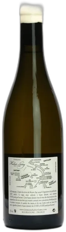 photo Puligny Montrachet Tremblots Haute Densité
