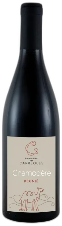 vue du vin Regnie Chamodere