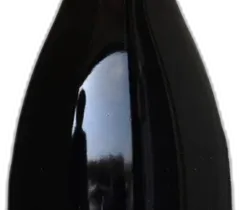 photo Champagne Extra Brut Blanc de Noirs 1er Cru les Gayeres “Soliste Pinot Noir” Magnum