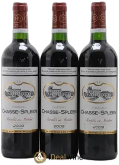 photo Château Chasse Spleen