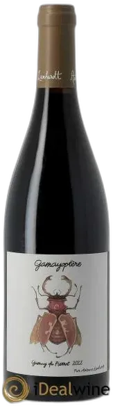 photo Coteaux Bourguignons Gamay du Pierrot