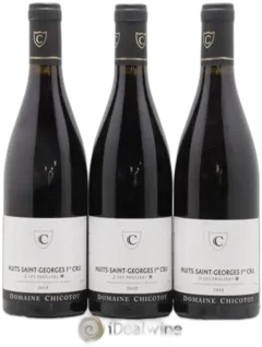 photo Nuits-Saint-Georges 1er Cru les Pruliers Chicotot