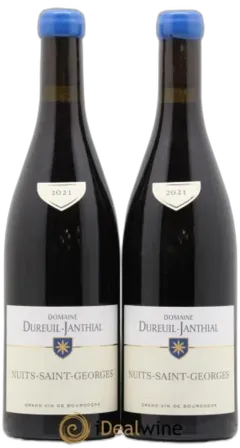 photo Nuits-Saint-Georges Vincent Dureuil-Janthial 2021