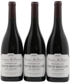photo Vosne-Romanée 1er Cru Les Chaumes