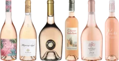 photo Dégustation Premium Rosé de Provence