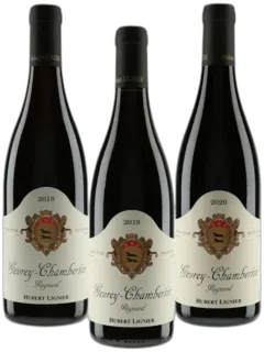 photo Verticale Gevrey-Chambertin Regnard