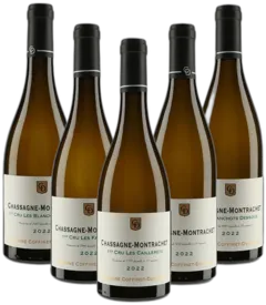 photo Horizontale Chassagne-Montrachet Coffinet-Duvernay