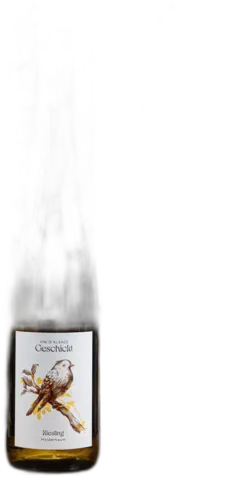 vue du vin Riesling 2024 Domaine Geschickt