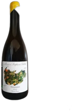 vue du vin Maison Stephane Saillet, Romorantin 2023