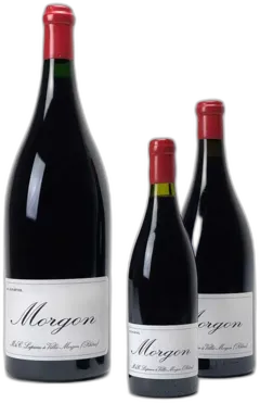 photo Domaine Marcel Lapierre Morgon Vieilles Vignes Rouge
