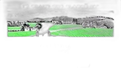 image du vin Château Pavie 2024