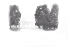 image du vin Château Dassault 2024