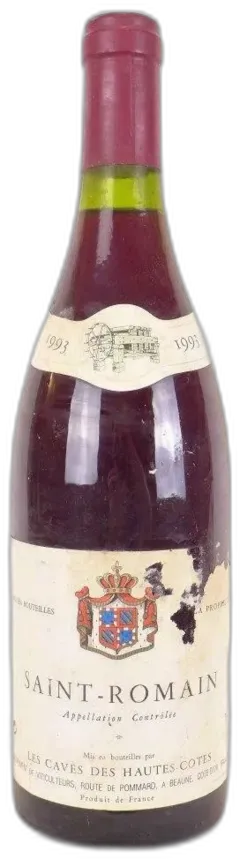 vue du vin 1993 Saint-Romain