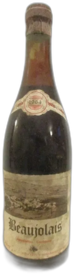 illustration du vin Beaujolais Noël Briday b3