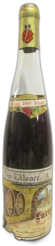 photo Pinot Noir Farny-Sary Rouge Alsace