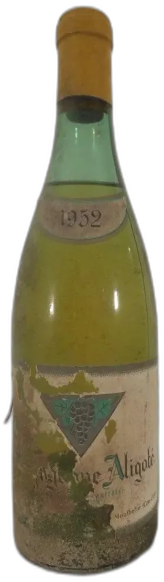photo Aligoté Potinet