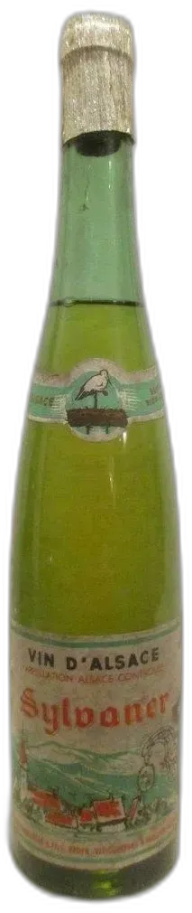 photo Sylvaner Albert Wolfensperger