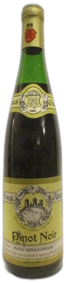 photo Pinot Noir Paul Ginglinger