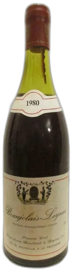 vue du vin Leynes Francis Crot Rouge Beaujolais