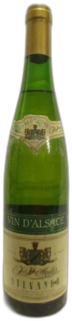 photo Sylvaner Muller Blanc