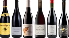 image du vin de Dégustation Premium Beaujolais