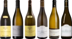 photo de Dégustation Puligny-Montrachet