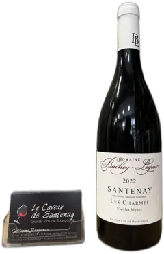 photo Santenay les Charmes Rouge 2022 Domaine Bachey-Legros