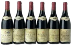 photo du vin Comte Armand Pommard Premier Cru Clos des Epeneaux 1995