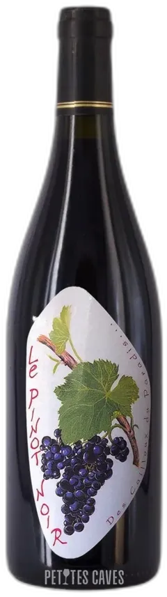 photo Pinot Noir 2022 les Cailloux du Paradis