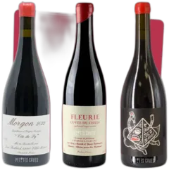 capture du vin le Beaujolais Dans Toute sa Splendeur