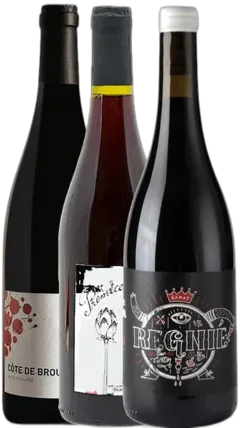 image du vin Â­Ï¸ les ÃToiles Montantes du Beaujolais