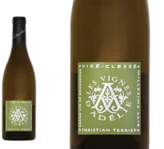 photo Domaine les Vignes d’Adélie Viré-Clessé 2023