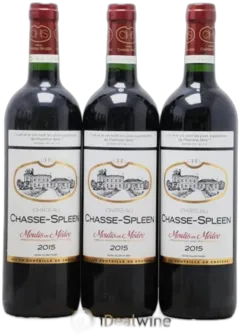 photo Château Chasse Spleen