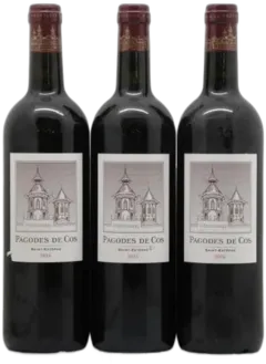 photo les Pagodes de Cos Second Vin 2016