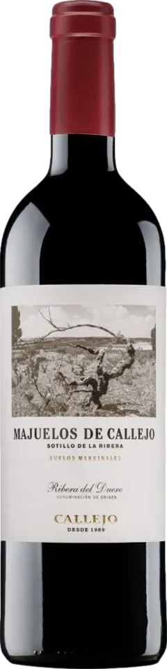 image du vin Selección de Viñedos de la Familia 2010 Bodegas Felix Callejo