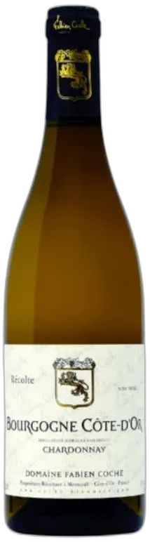 photo Fabien Coche Chardonnay Côte d’or 2023