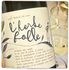 photo l’Herbe Folle Blanc
