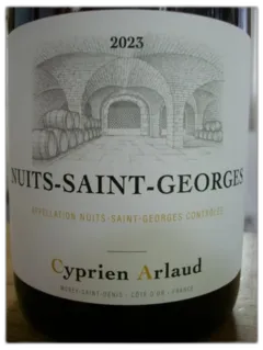 photo Nuits Saint Georges Cyprien Arlaud