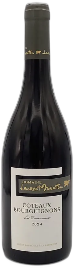 photo Bourgogne Coteaux Bourguignon 2023 Rouge