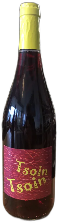 image du vin Domaine Leonis Beaujolais Villages Magnu