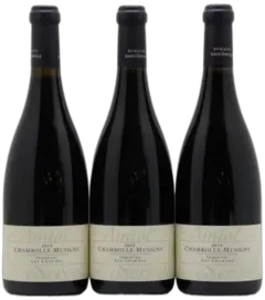photo Chambolle-Musigny 1er Cru les Charmes