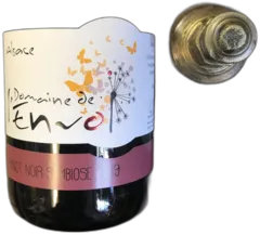 photo Pinot Noir Symbiose