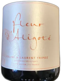 photo Fleur d’Alligoté