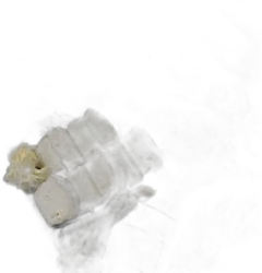 photo du vin Plateaux Fromage