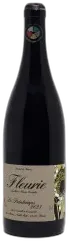 photo Beaujolais Fleurie le Printemps 2023 Yvon Métras