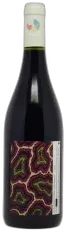 photo Cabernet Franc