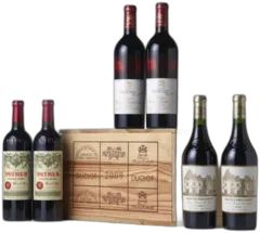 photo Bordeaux Assortiment Collection Duclot 2009