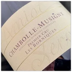photo Chambolle Musigny les Borniques