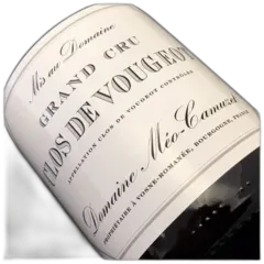 vue du vin Domaine Meo Camuzet Clos Vougeot 2021 Magnum